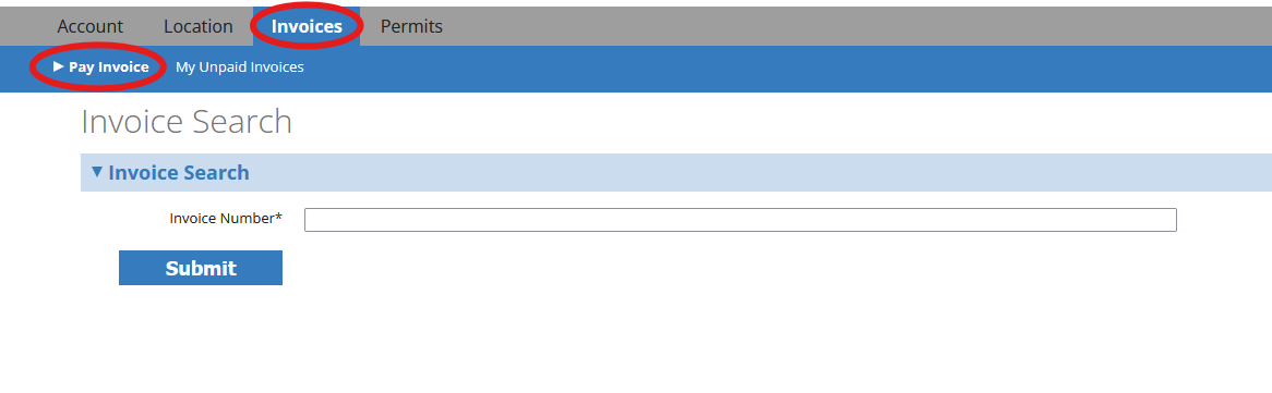 Pay Invoice By Invoice Number